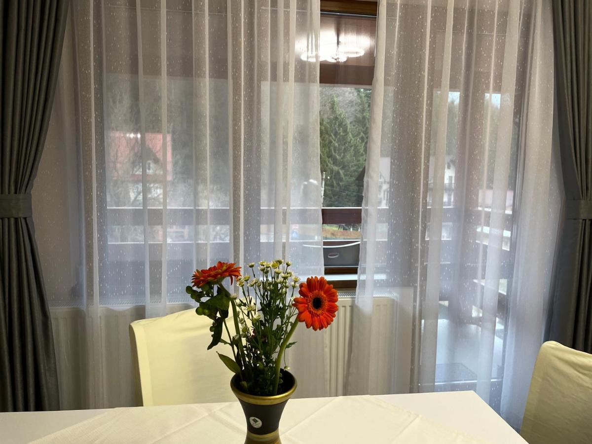 Apartament Lexannona Buşteni Zewnętrze zdjęcie