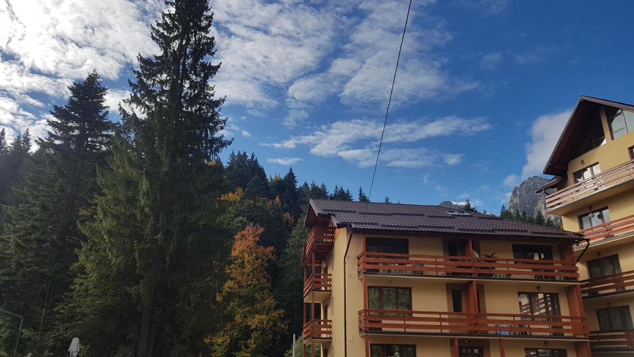 Apartament Lexannona Buşteni Zewnętrze zdjęcie