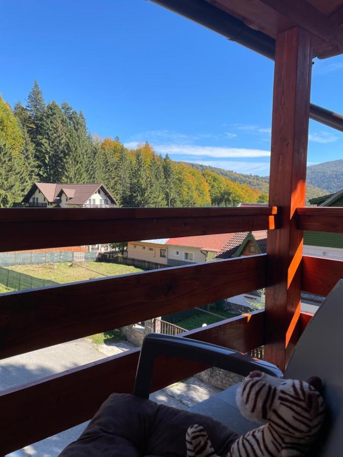Apartament Lexannona Buşteni Zewnętrze zdjęcie