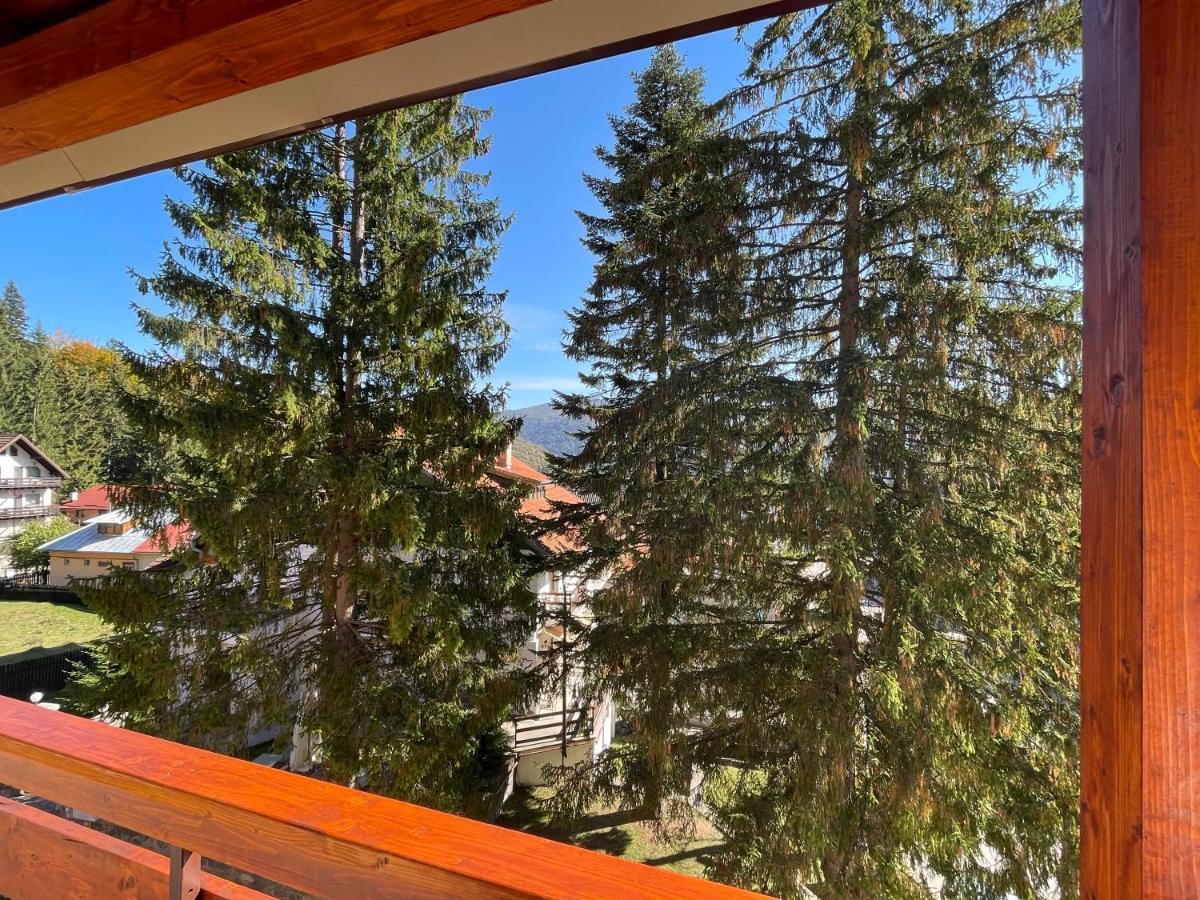 Apartament Lexannona Buşteni Zewnętrze zdjęcie