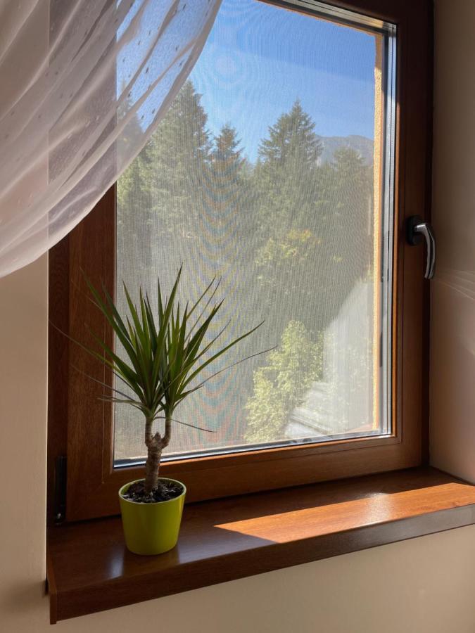 Apartament Lexannona Buşteni Zewnętrze zdjęcie