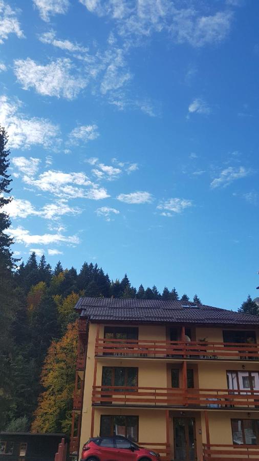 Apartament Lexannona Buşteni Zewnętrze zdjęcie