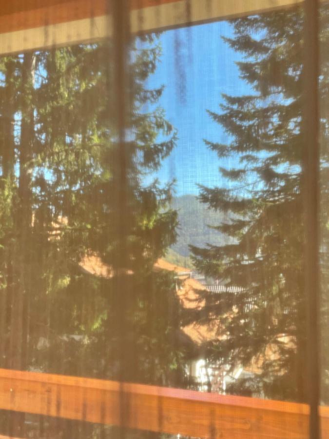 Apartament Lexannona Buşteni Zewnętrze zdjęcie