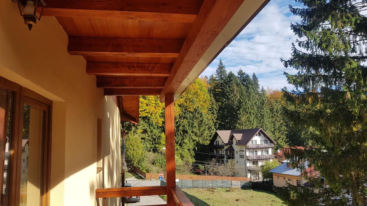 Apartament Lexannona Buşteni Zewnętrze zdjęcie