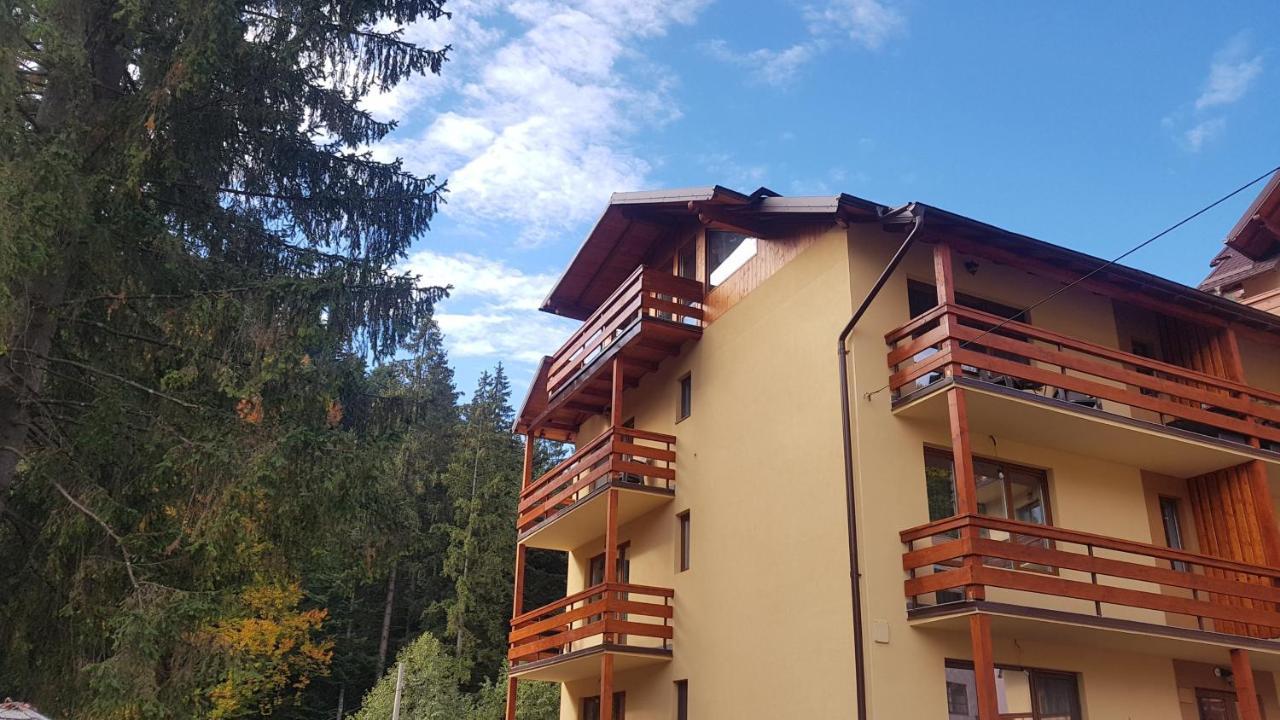 Apartament Lexannona Buşteni Zewnętrze zdjęcie