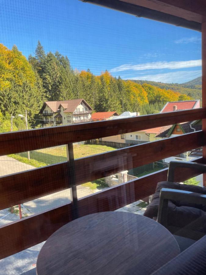Apartament Lexannona Buşteni Zewnętrze zdjęcie